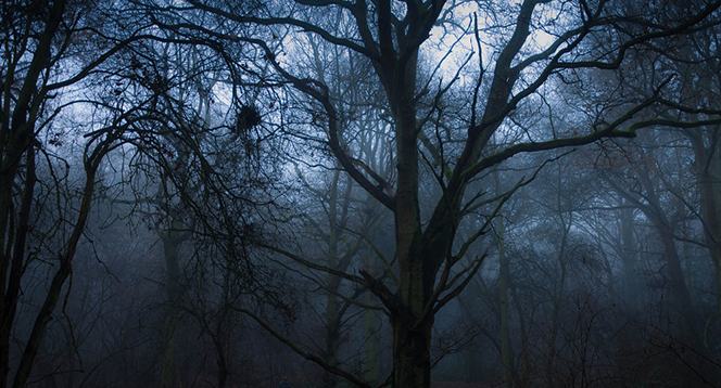 Marylandské lesy obchází temný přízrak jménem Goatman