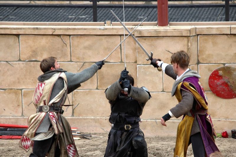Historický šerm a umění boje s mečem